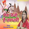 About Mera Tejo Hai Tapdhari Song